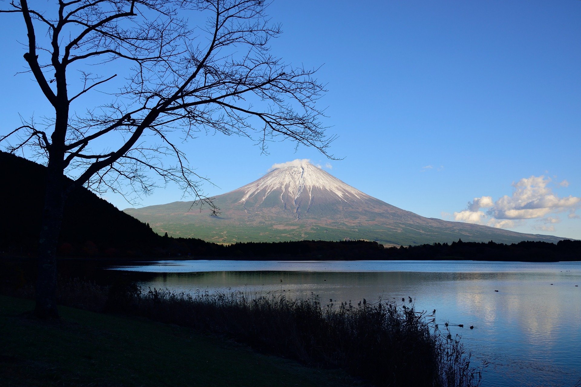 静岡