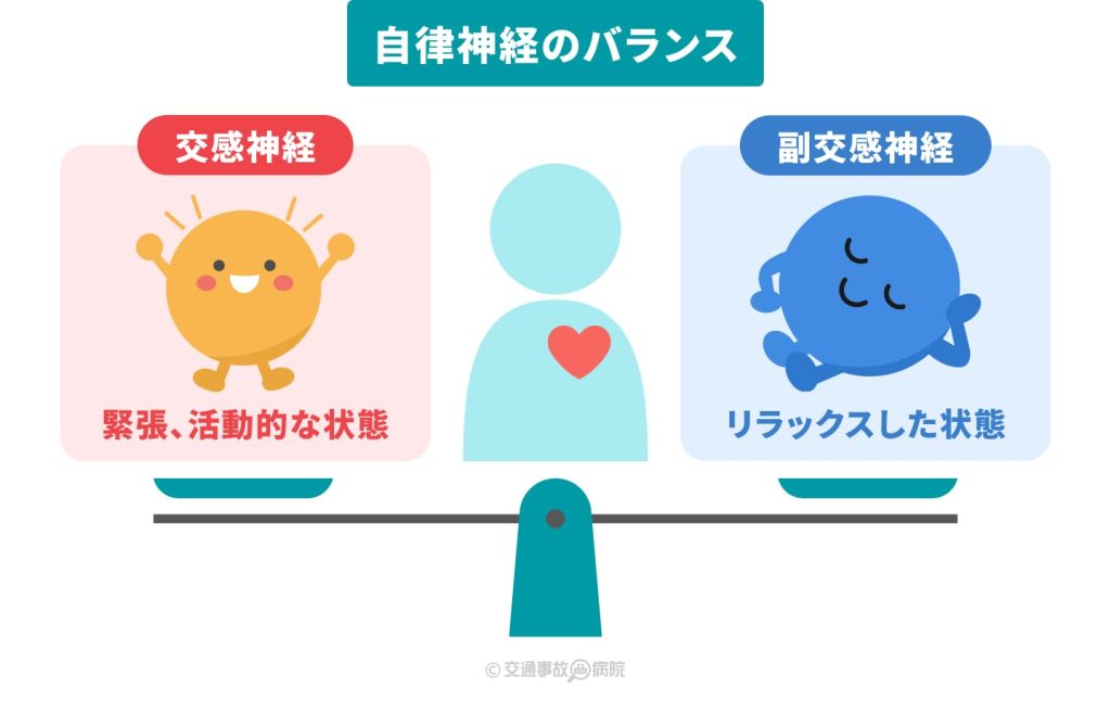 自律神経のバランス（交感神経と副交感神経）
